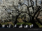 dailyPhoto7